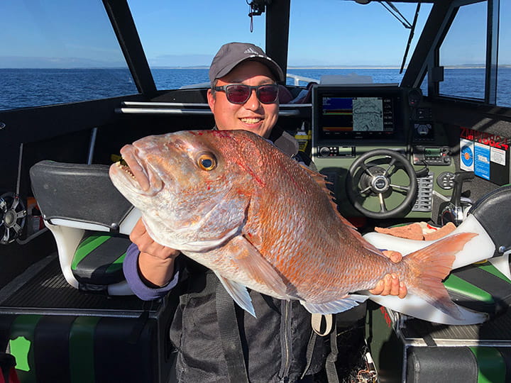 catch bigger snapper in the far north