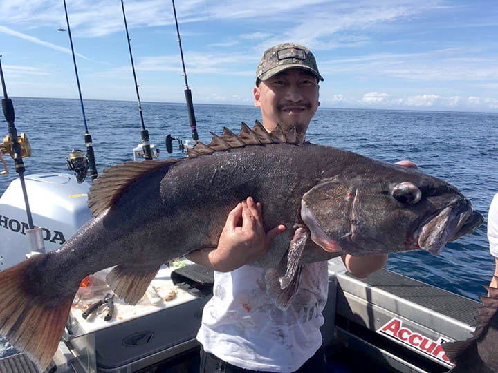 game fishing far north